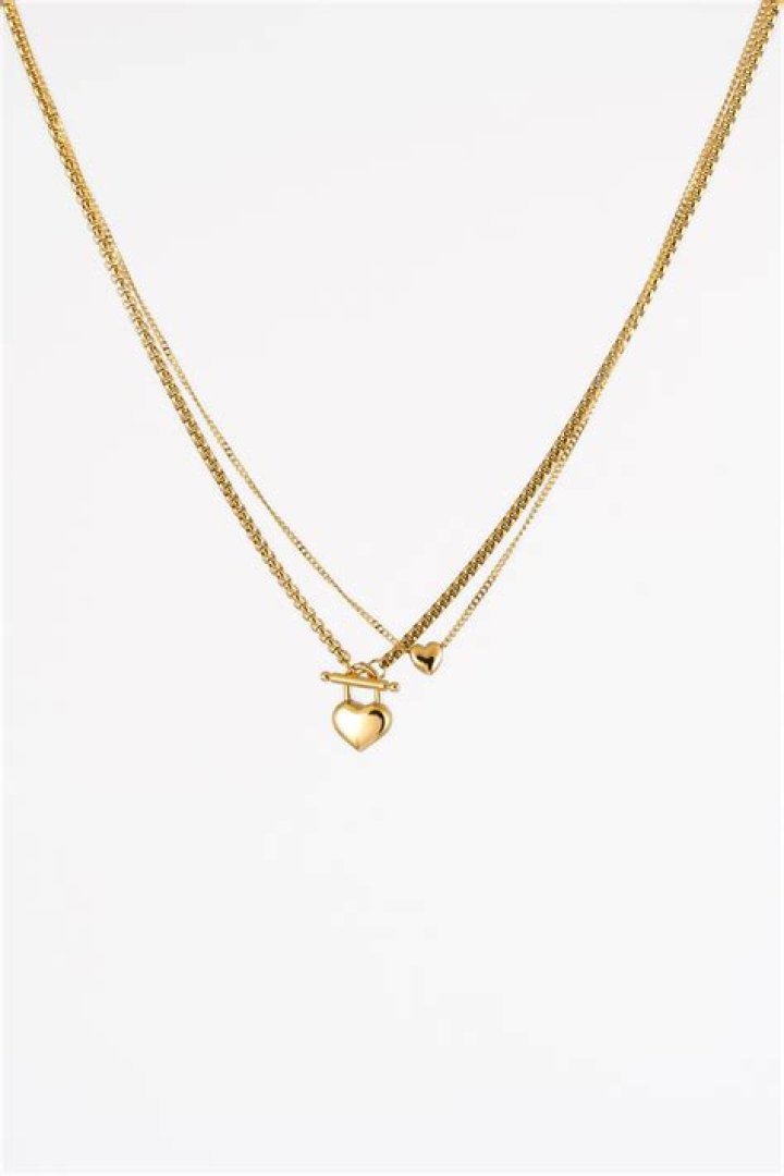 في الخليه الحيوانيه لا تحتوي على