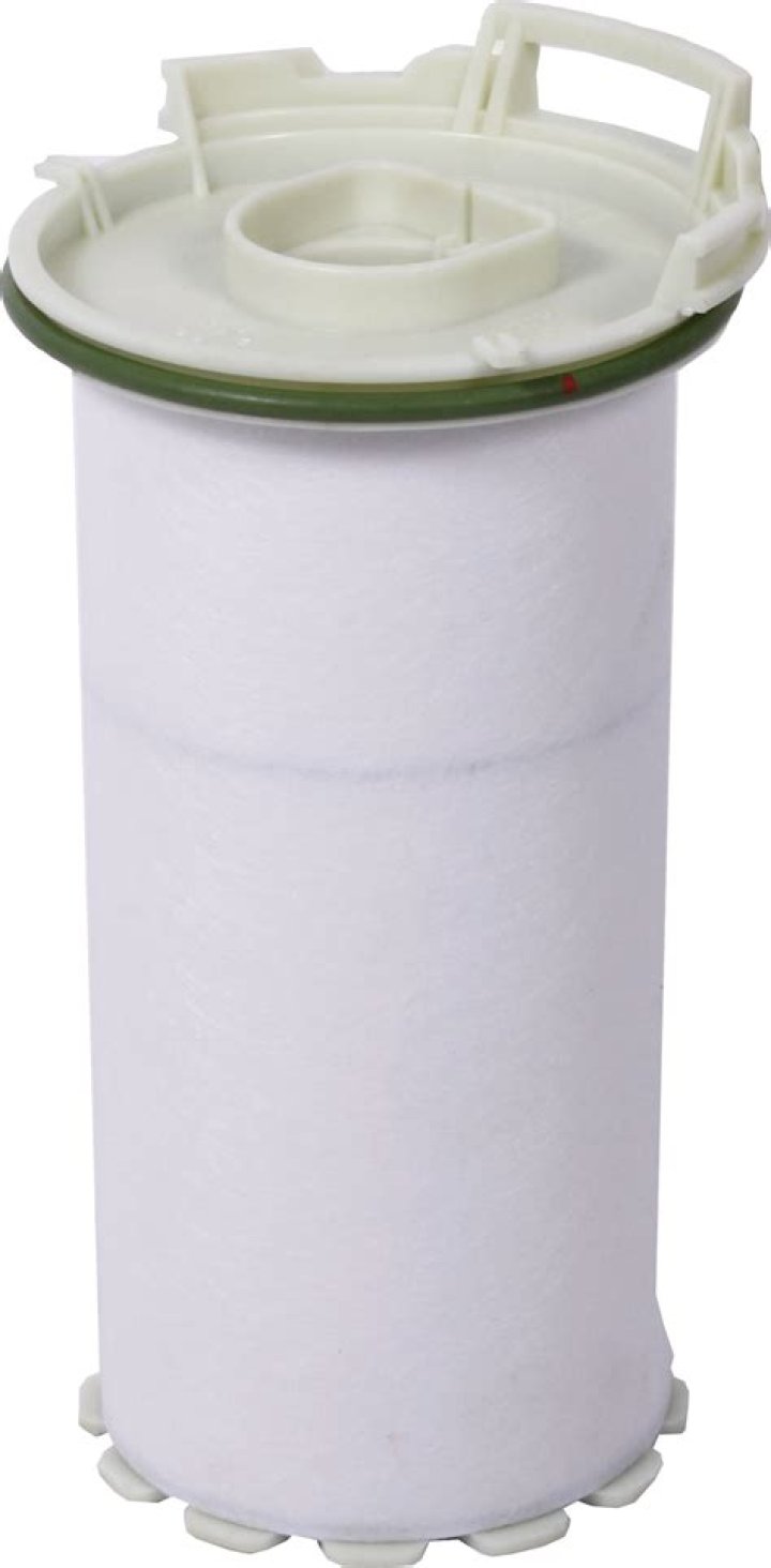 تسمى الحيوانات التي لها عمود فقري لافقاريات