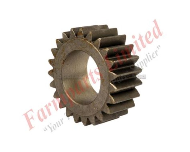 تصنف الطيور في السلسله الغذائيه ادناه اعشاب حشرات طيور افع