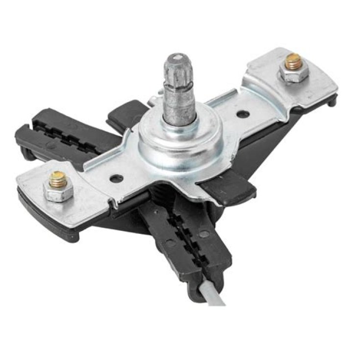 ما الخطوه الاولى في الانقسام المتساوي