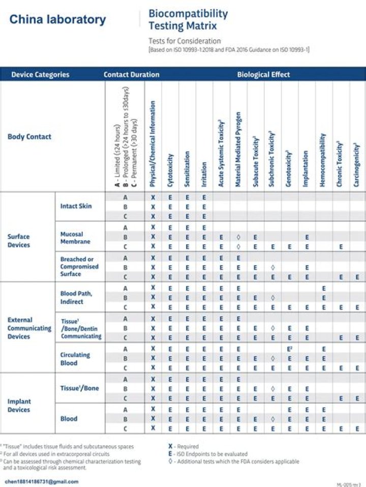 تفسير حلم رؤية الوطواط فى المنام