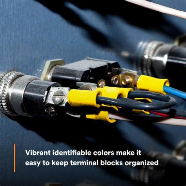 من هي ساحرة الباحة وأولادها