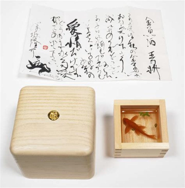 الجملة الأساسية التي تعبر عن الفكرة الرئيسية داخل الفقرة تسمى