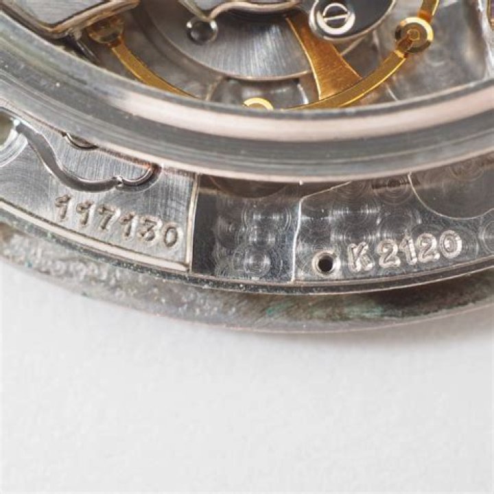 الطيور تستخدم الجلد والخياشيم للتنفس