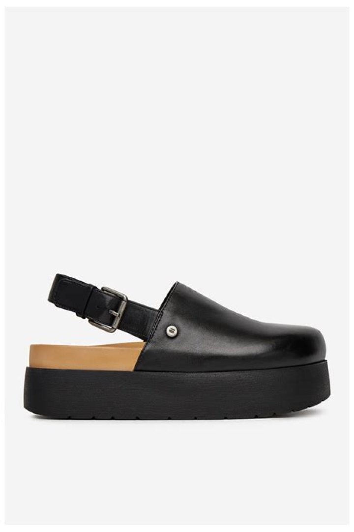 من هو الشاعر الملقب بواحد