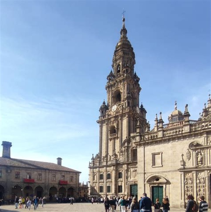 يُعيد علماء الأحياء الاستقصاء نفسه مرات عديدة من أجل؟ –