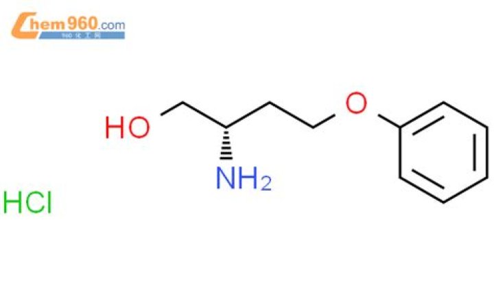 حل : كان يستغرق اعداد الطعام عند الاسكيمو وقتا طويلا حتى ينضج وذلك لانهم اجابة سؤال