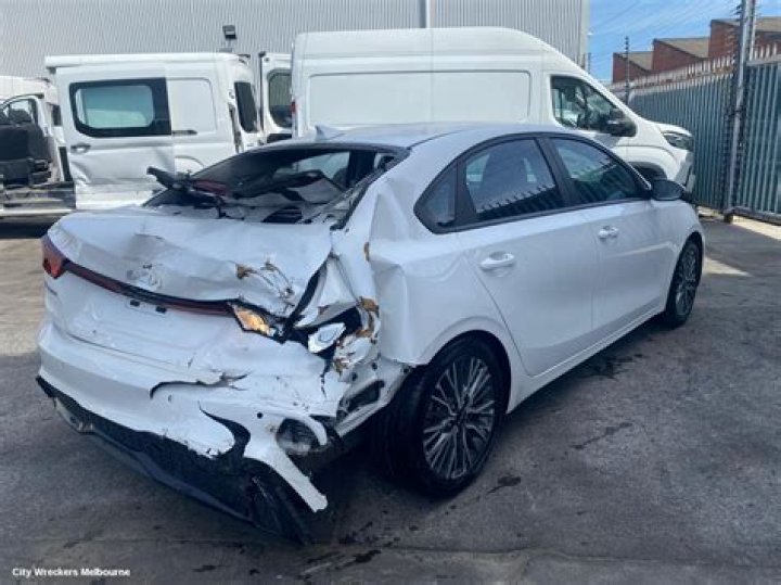 هل وجود النمل في البيت خير أم شر