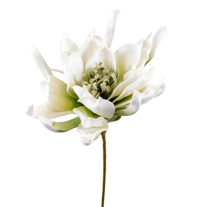 التفكير البسيط والمركب من أقسام