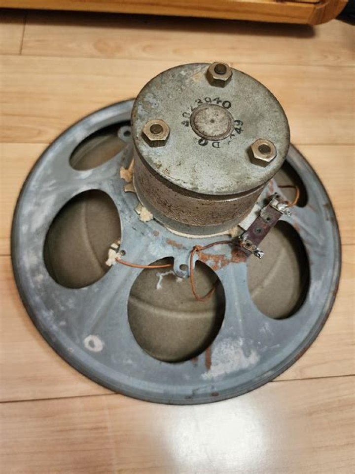 من امثلة الطلائعيات الشبيهة بالحيوانات