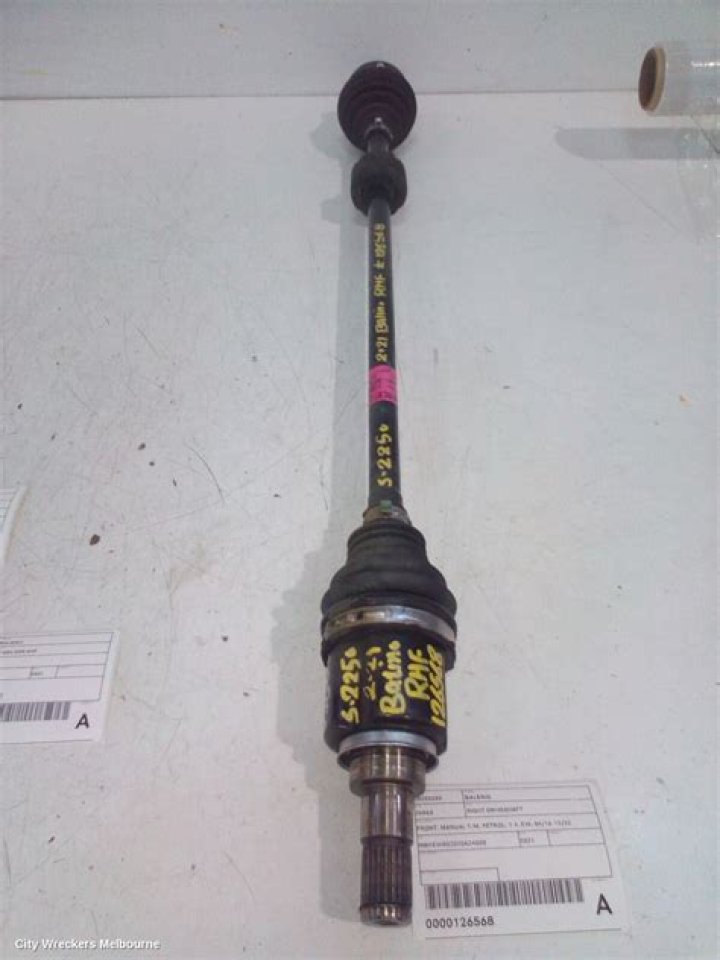 الغاز الذي تستخدمه النباتات الخضراء عند صنع غذائها هو