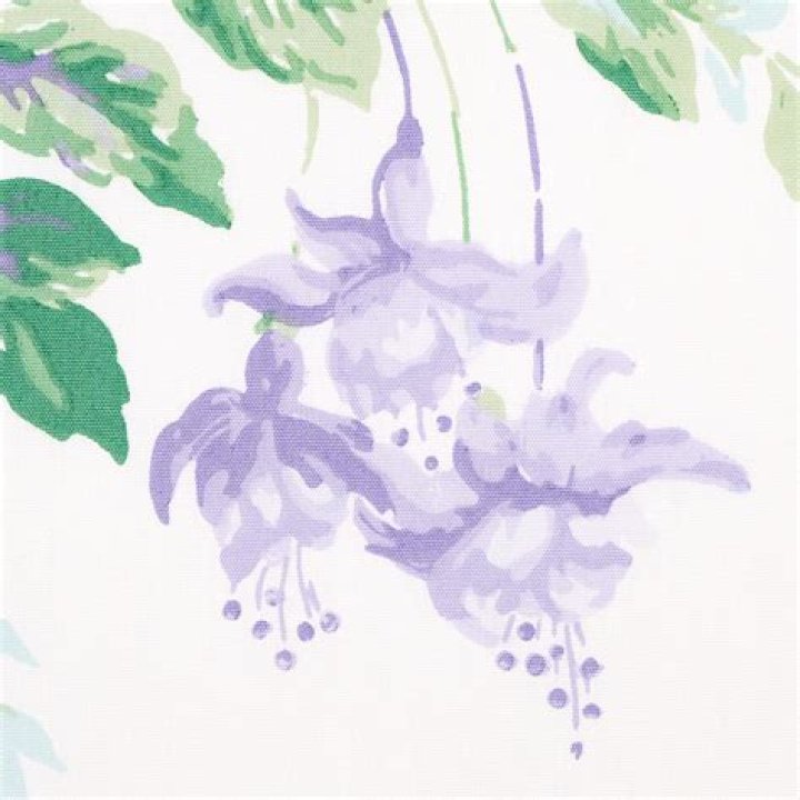 زعيم نصف الارض كلمات