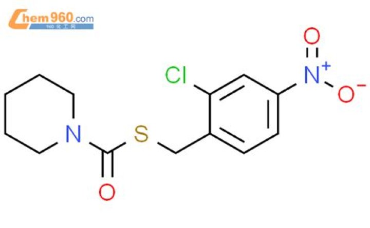 سناب شات لمياء القرني