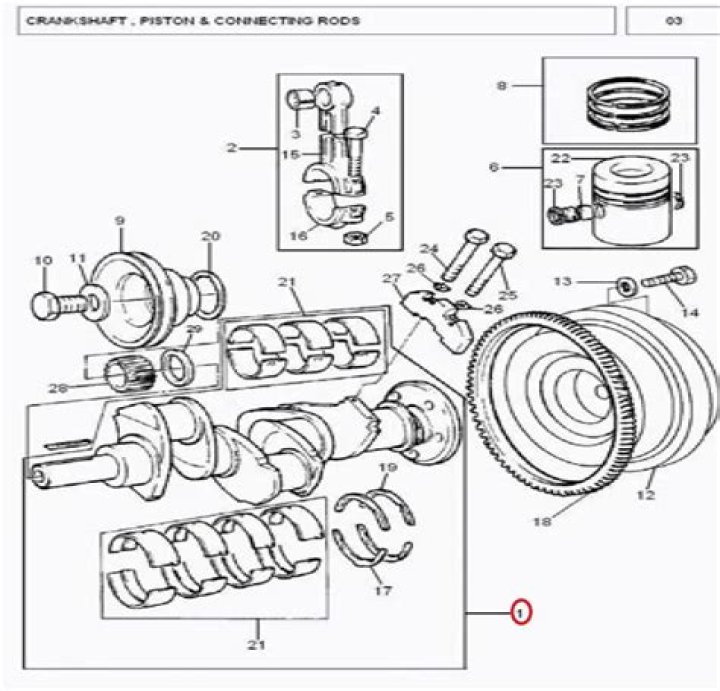 متى تم اكتشاف الضحك وفوائده و نشأة وتاريخ الضحك