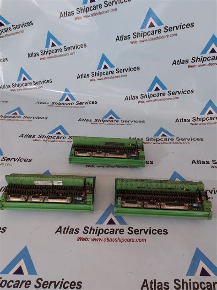 مخلوق حي يقوم بتحليل بقايا المخلوقات الميتة المحلل المخلوقات الحية المستهلك جميع ما سبق