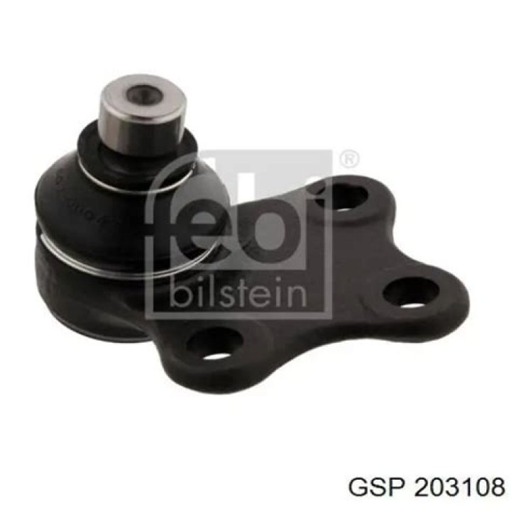 معنى اسم تينا وصفات حاملة الاسم وحكم التسمية به في الإسلام