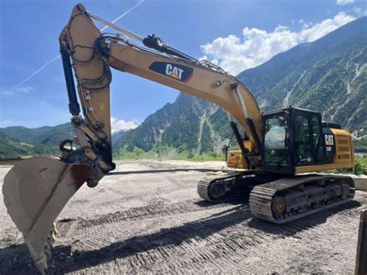 كيفية تحديد عمر الأرنب الحقيقي