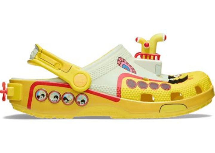 بحث عن النباتات اللاوعائية