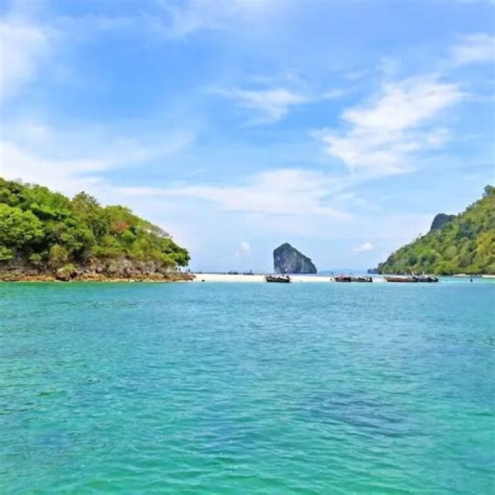 مرض مزمن ينتج خلل في مستويات الأنسولين التي يفرزها البنكرياس