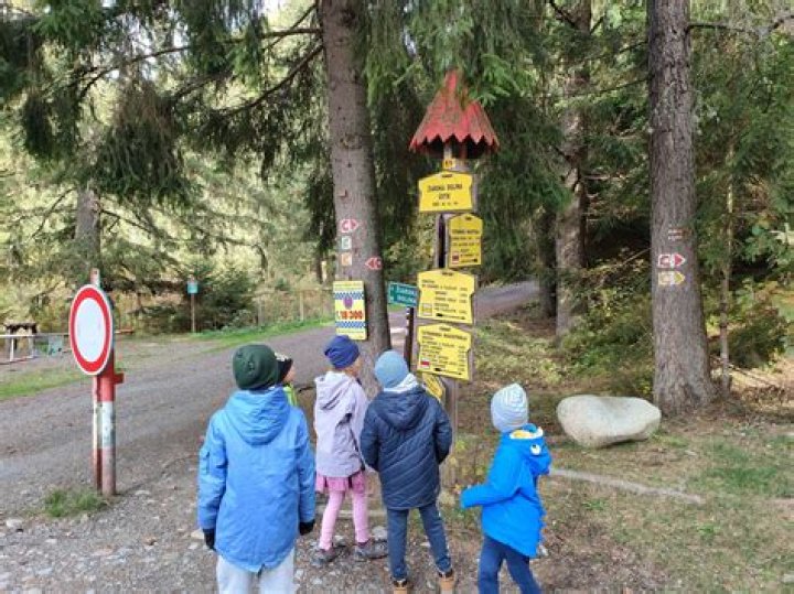 كلمات اغنية حضرة الموقف مكتوبة