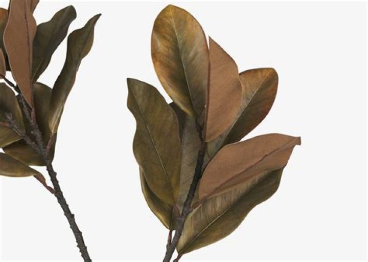 أي الكواكب يستغرق زمنًا أطول ليدور حول الشمس: .. إجابة كاملة هنا