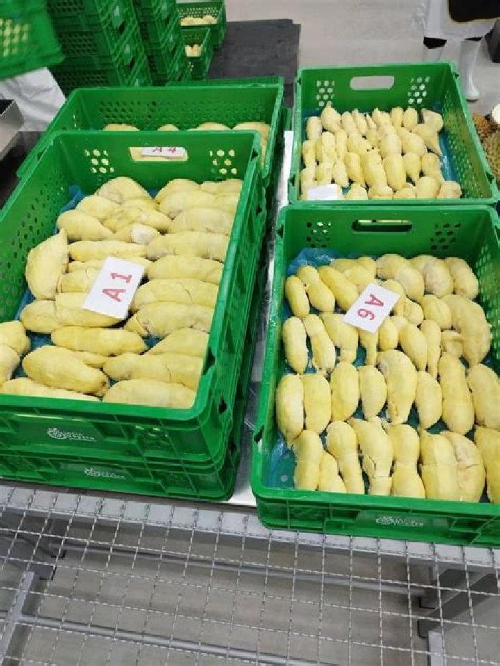 صور مكتوب عليها رمضان كريم 2022 أفضل صور وخلفيات وبطاقات تهنئة رمضان