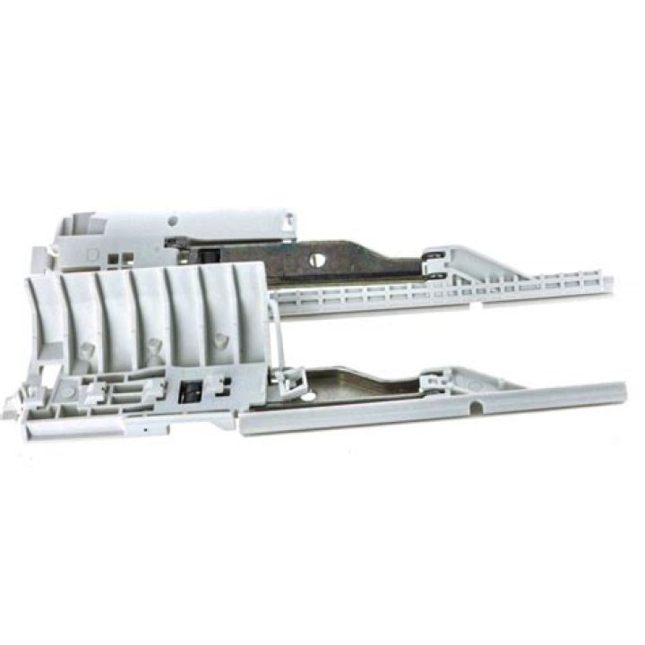 من أمثلة نباتات البيئة الجبلية