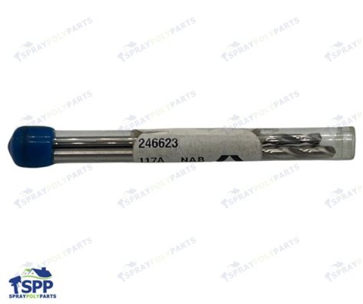 معلومات عن الاخطبوط للاطفال