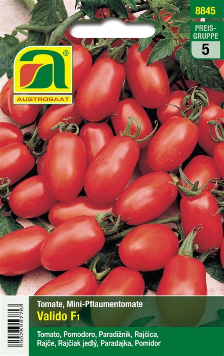 هل الضب يشرب ماء