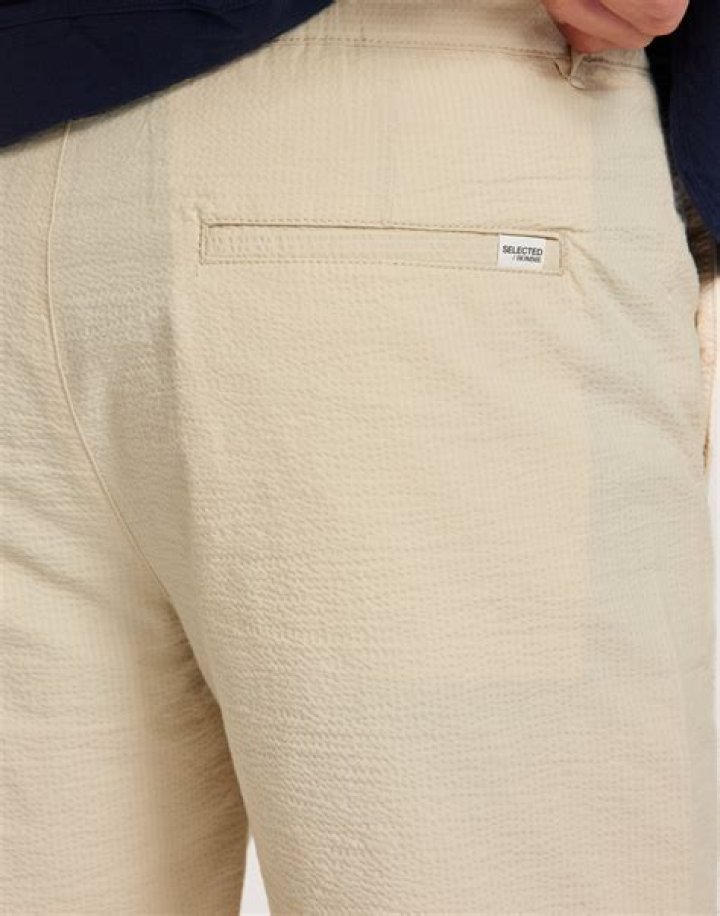 حشرات المنزل الغريبة