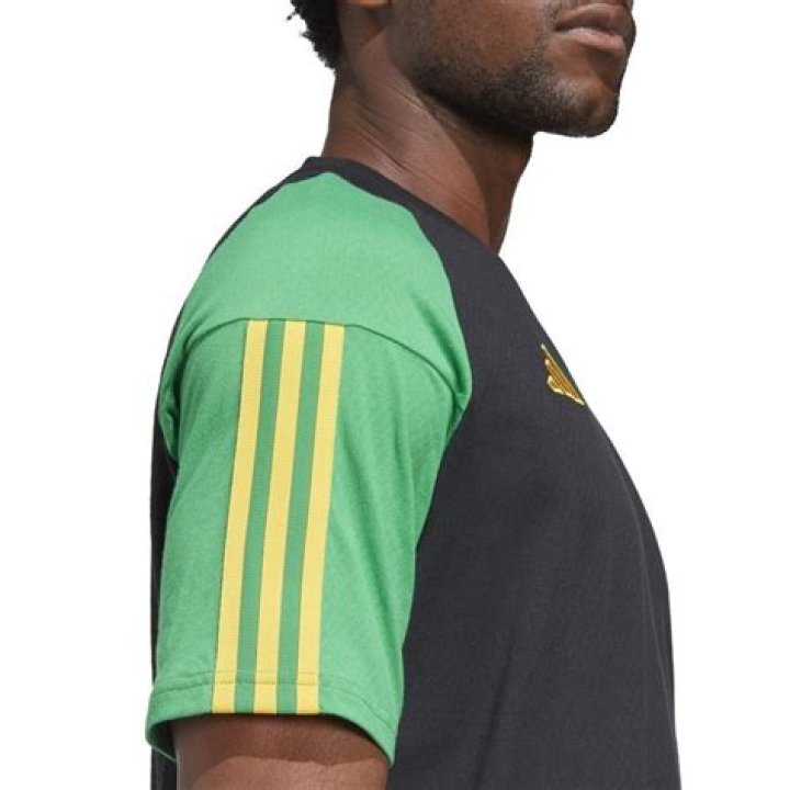 معنى اسم عز وصفاته