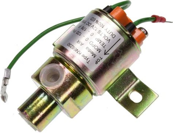 من هي زوجة فابريغاس ويكيبيديا