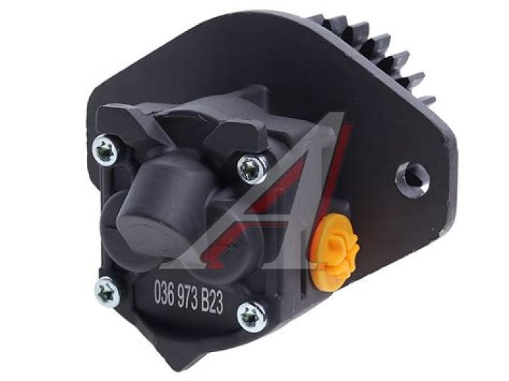 تصنع الخلايا الحيوانية غذائها بنفسها لأنها تحتوي على الكلورفيل صح ام خطا