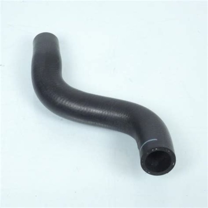 حل لغز القارة القطبية الجنوبية كلمات متقاطعة