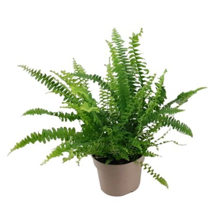 موعد اذان الفجر بالمدينه