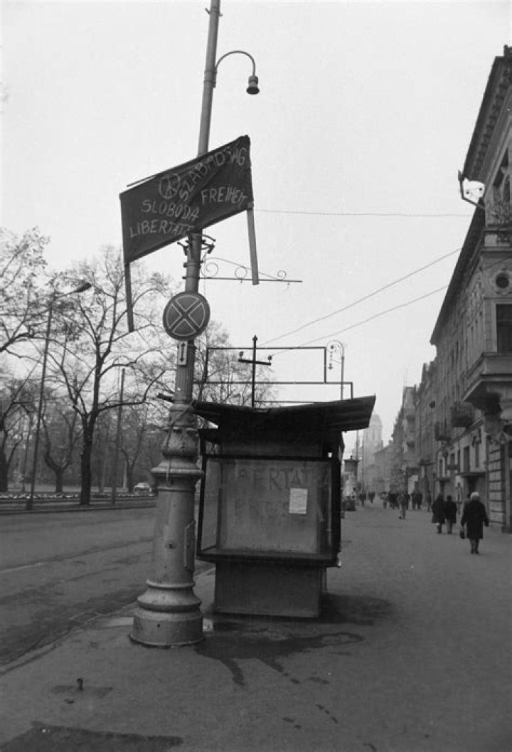 الكمية المتجهة من بين الكميات التالية هي