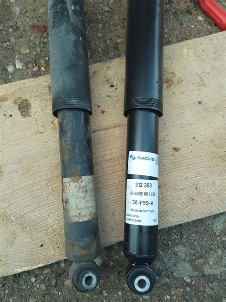 ينتج عن الانقسام المنصف للخلايا التناسلية