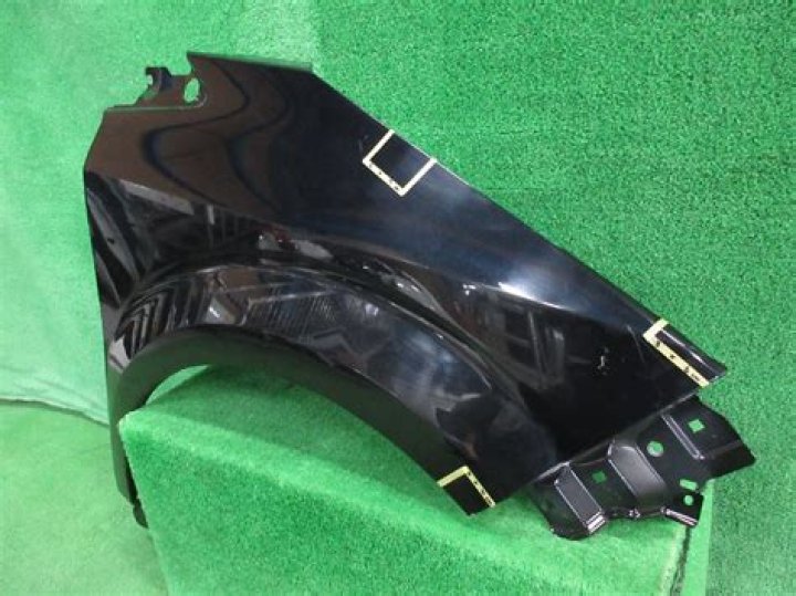 يحدث التنفس الخلوي في