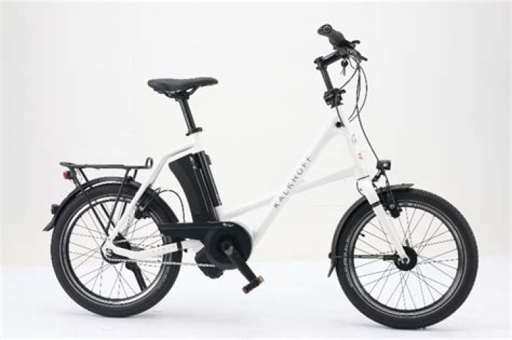 صلاة الوتر كم ركعه