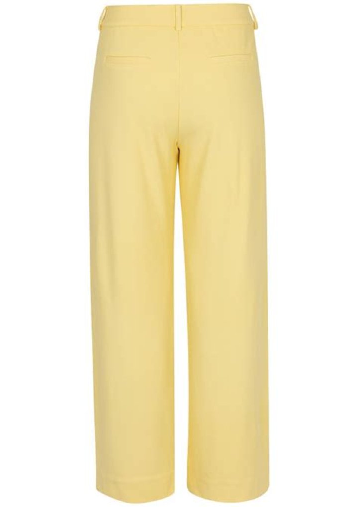 اذا كانت صفة الازهار الارجوانية سائدة