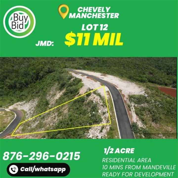 أكشن مع وليد حلقة اليوم مباشر