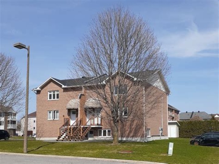 المراحل الأساسية لدورة الخلية cell cycle هي