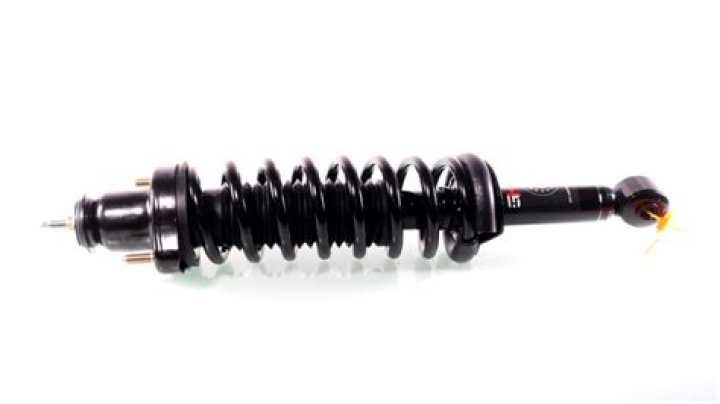 تستطيع الطحالب البنية أن تطفو فوق الماء لأنها تحتوي على