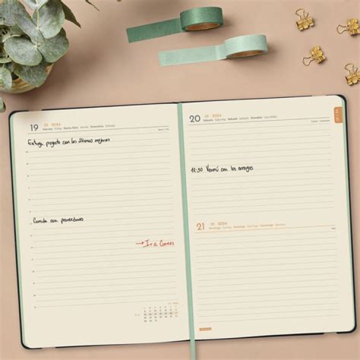 الدب من الحيوانات القارتة أي أنه يأكل النباتات والحيوانات .