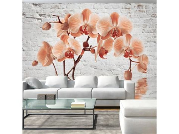 حيوان يبدأ بحرف ط