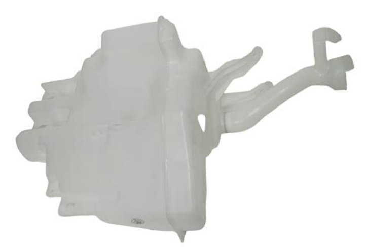 الفرق بين اليانسون والشمر