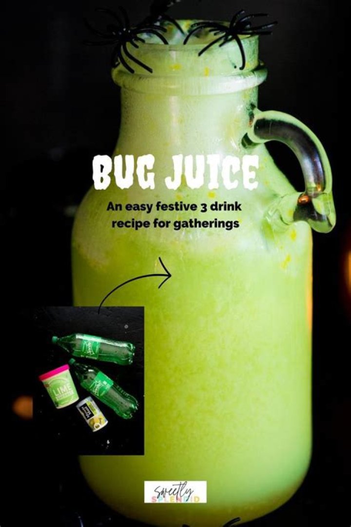 Commentary | Please Don’t Drink the Bug Juice