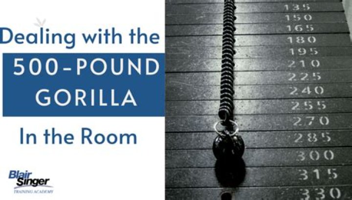The Enormous 500-Pound Gorilla In The Room: Facing The Unignorable