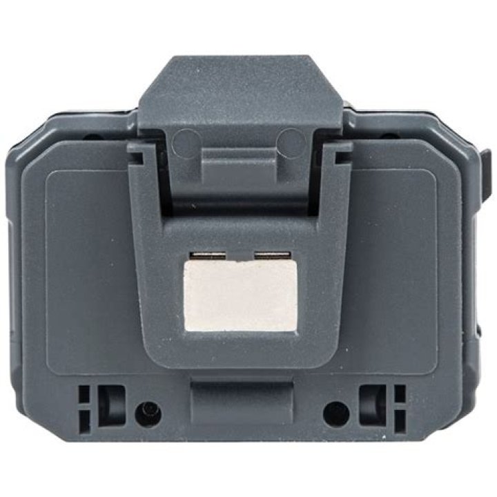 اي الثدييات التاليه تضع البيض