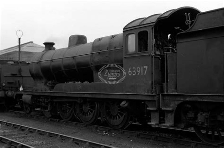 أي مما يلي تجده في النواة